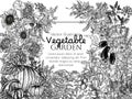 Vector vegetable garden border Royalty Free Stock Photo